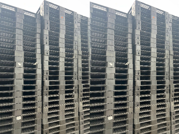 Pallet nhựa